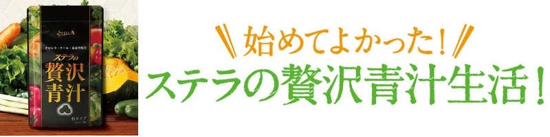 �`����������3���ɂ�����ƋÏk�I��l�C�́u�X�e�����ґ�`�v���T�C�g